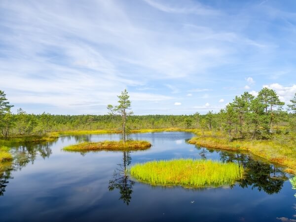 laheema national park