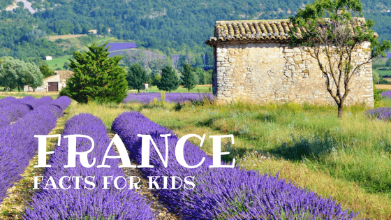 france facts for kids