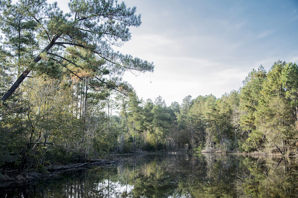 mississippi de soto nat park