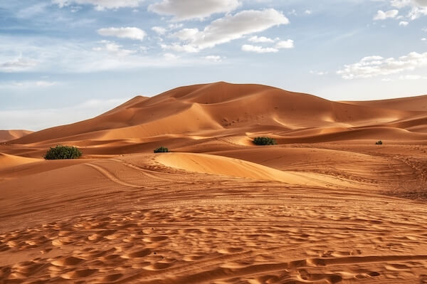 morocco sahara