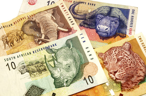 South African banknotes depict the Big Five