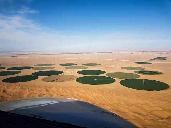 algeria desert farming