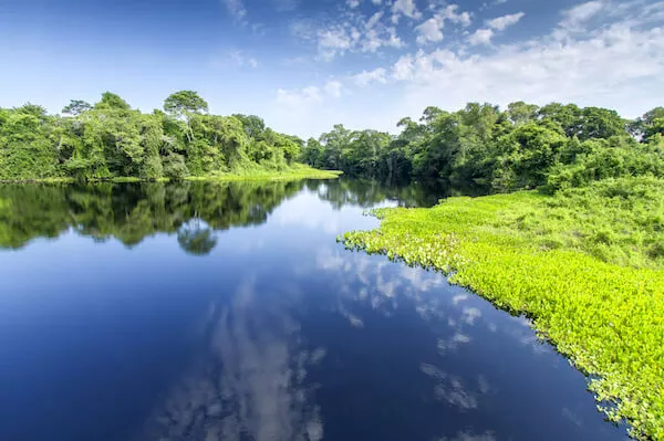 Pantanal wetlands