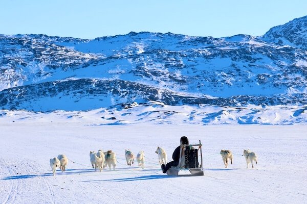 greenland dog sledding