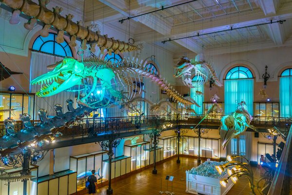 monaco whale - image by trabantos/shutterstock.com