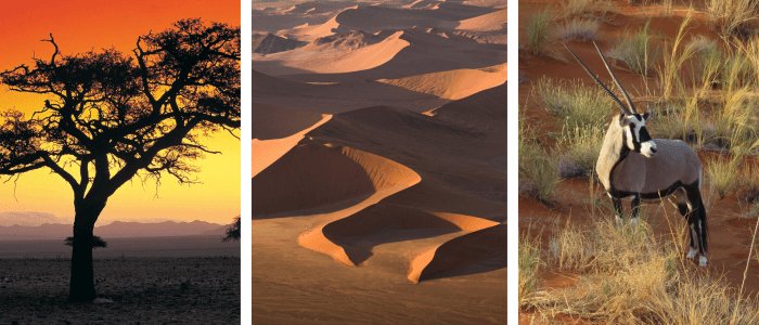 namibia header