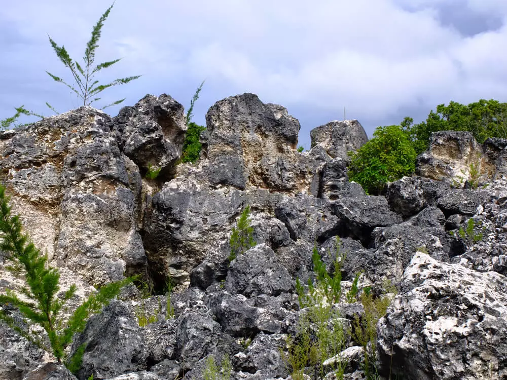 nauru phosphate rock