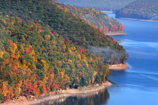 usa pennsylvania allegheny forest