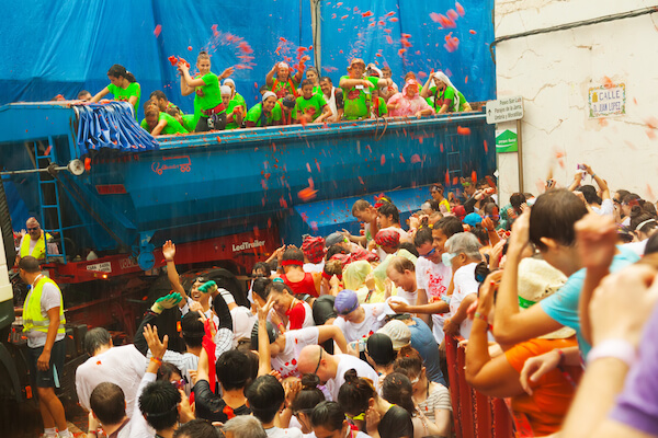 tomatina bear fotos ssk