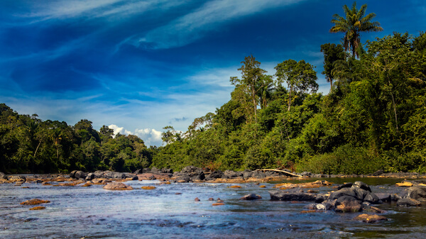 suriname kalebo river
