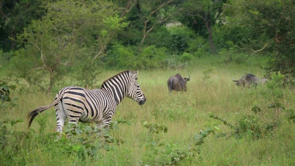 togo keran national park