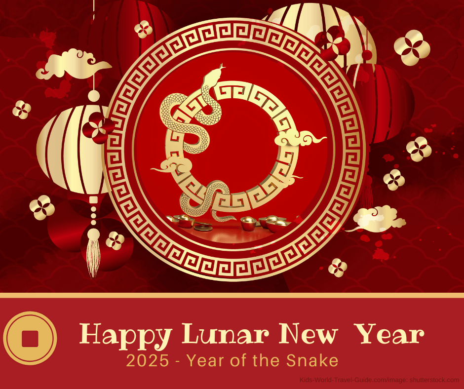 new year of the snake